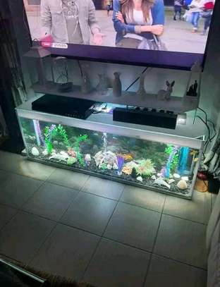 Tv Stand Aquariums image 1