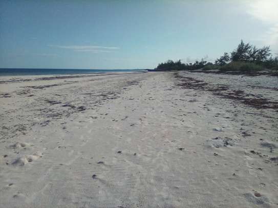 50-Acre Beach Plot For Sale in Bofa/Kilifi image 10