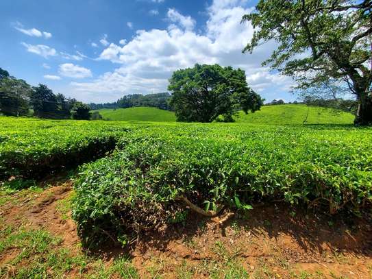 20 ac Land at Riara Ridge image 14