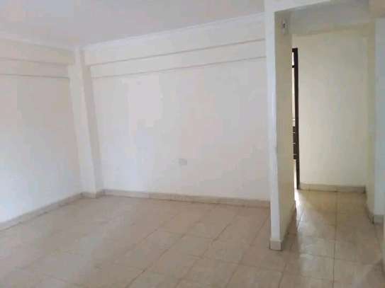 Kikuyu Road two bedroom apartment to let image 7
