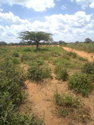 163 Acres Touching Makindu-Wote Road Is Available For Sale image 3