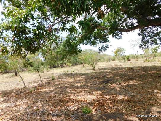 10,000 ft² Land in Vipingo image 5