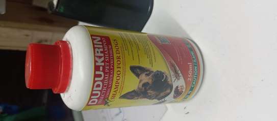 Dudu krin 250mls Pet shampoo. image 3