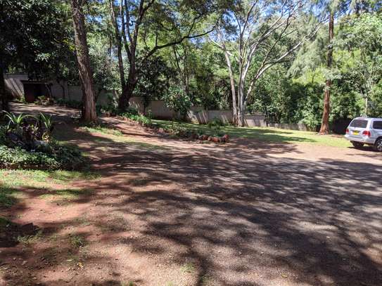 Residential Land at Peponi Rd image 3