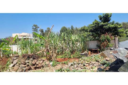 Residential Land in Nyari image 4
