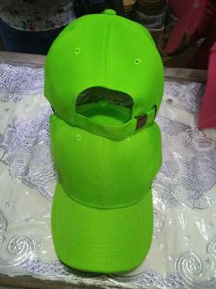 CAPS image 3
