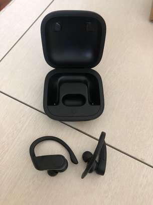 Beats by Dre Powerbeats Pro True Wireless Earbuds image 6
