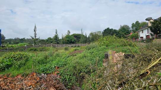 0.5 ac Land at Academy Road image 2