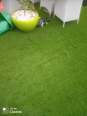 GOOD LOOKING GRASS CARPETS image 2