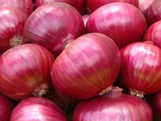 Onions image 3
