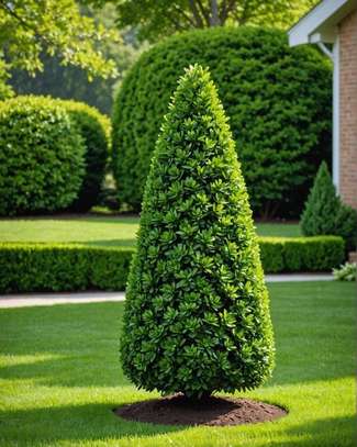 Gardening and landscape installation image 2