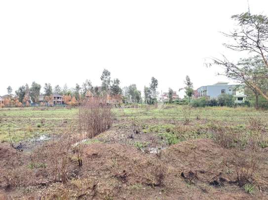 Prime 1/4 acre plot for sale in Ruiru Mhasibu image 1