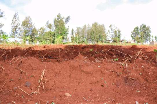 Real Estate Photography and Videography image 14