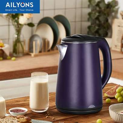 AILYONS FK0301 Electric Stainless Steel image 2