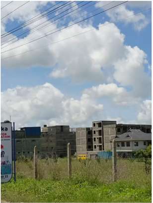 Katani Gardens (Touching Tarmac) image 5
