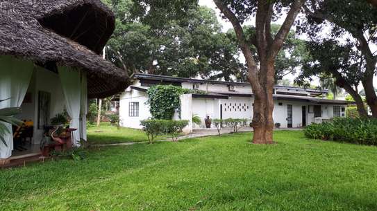 8 Bed House with Swimming Pool in Malindi image 7