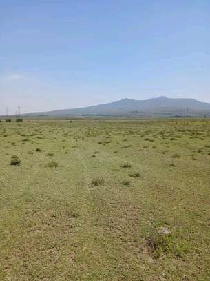 Open Land Spacious Flat Terrain with Mountain Views image 3