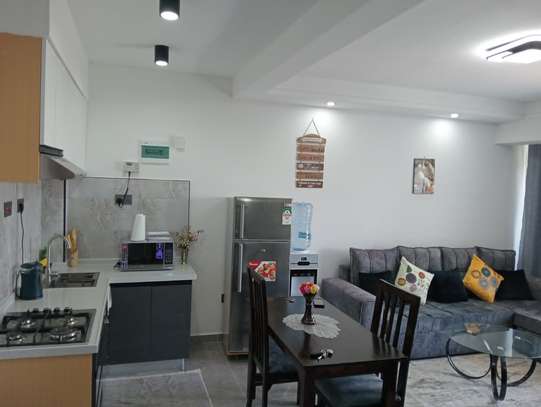 Furnished One bedroom Apartment image 4