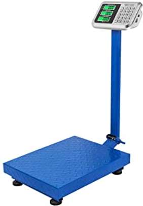 300kg 300kg Stainless Heavy Duty Folding Scales. image 1