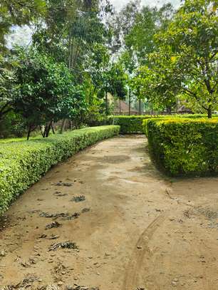 4 Bed House with En Suite in Karen image 8