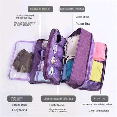 Bra panties/boxers and socks Travel Case image 4