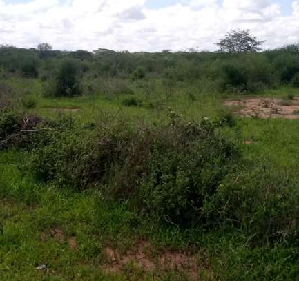 300 Acres Fronting River Galana Is For Sale image 2