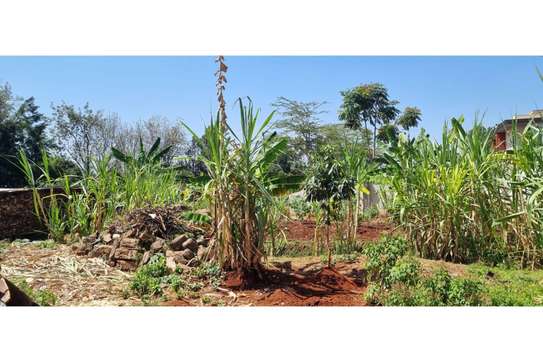 Residential Land in Nyari image 3