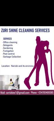 Zuri shine cleaning services image 1