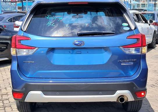 SUBARU FORESTER NEW SHAPE image 2
