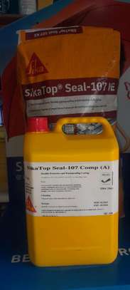 Sikatopseal-107 image 1