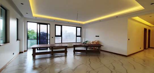 4 Bed Apartment with En Suite in Spring Valley image 54