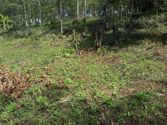 Lovely Quarter ( 1 / 4 ) Acre Land in Ngong image 13