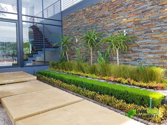 Landscaping Services in Kenya.Low Cost Garden Maintenance image 3