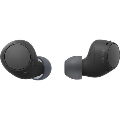Sony WF-C510 True Wireless Earbuds (Black) image 3