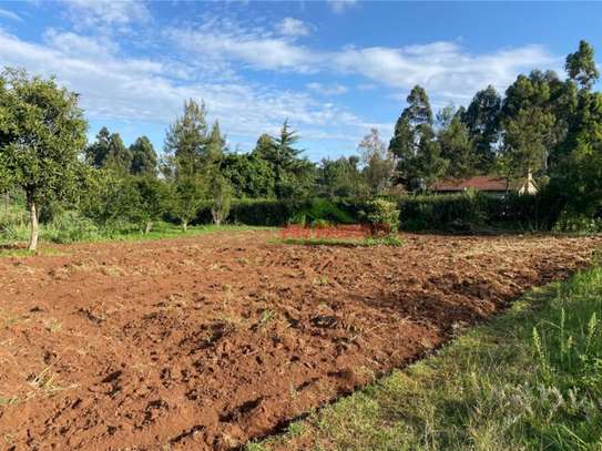 6,000 m² Land in Limuru image 3