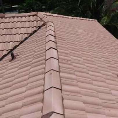 ROOF CLEANING & PAVEMENTS CLEANING image 6