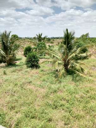 80,000 Acres Touching Galana River in Kilifi Is For Sale image 4