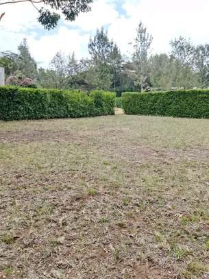 Beautiful one eighth plots in Ngong image 2