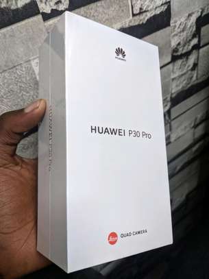 Huawei P30 pro image 2
