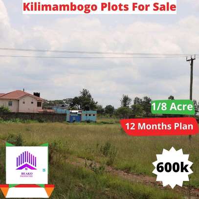 Kilimambogo plots for sale image 1