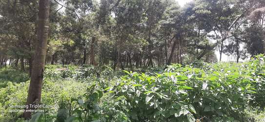 Land in Redhill image 8