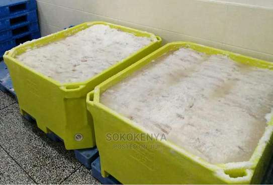 Ice Cooler Box for Meat Cold Transport 500ltrs image 1
