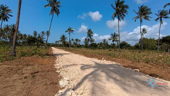 Prime Tropical Land Plot Cleared for Building image 5