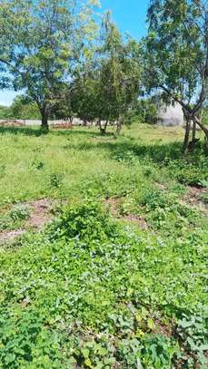 LAND FOR SALE KILIFI MTONDIA BOFA ROAD image 1