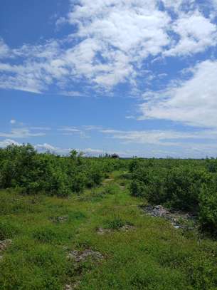 Land in Watamu image 16