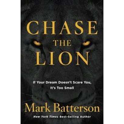 Chase the Lion Book by Mark Batterson image 1