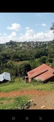 Plot for sale in Nyeri town Kangemi area image 1