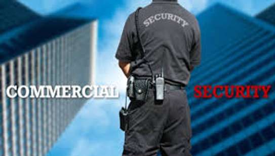 Best Professional Security Guards and Officers for Hire image 3