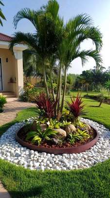 Landscaping service image 1