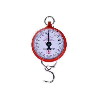 Hanson 100kg Manual Weighing Scale image 1